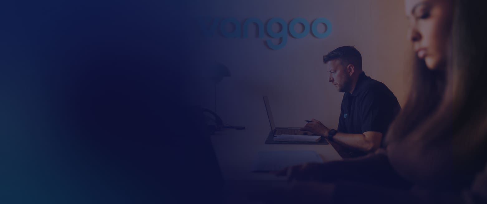 A Vangoo colleague working at a laptop